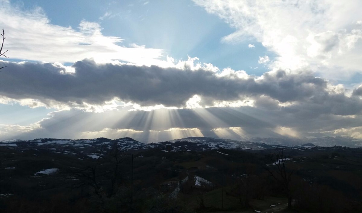 #lemarchemagic #wildlife #lemarche #moterubbiano