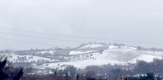 image-1-10-17-at-2-24-pm