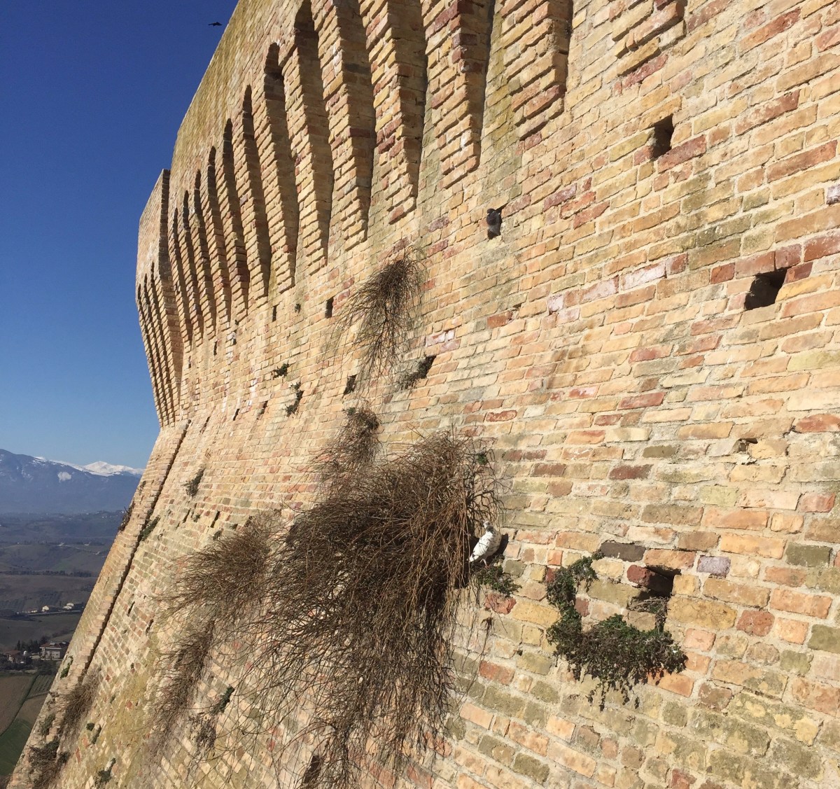 #Acquaviva #SanBenedetto #Grottammare #Cupra #Lemarchemagic #landscape #mediaeval-village #Ascoli Piceno #seaside #castles #villages
