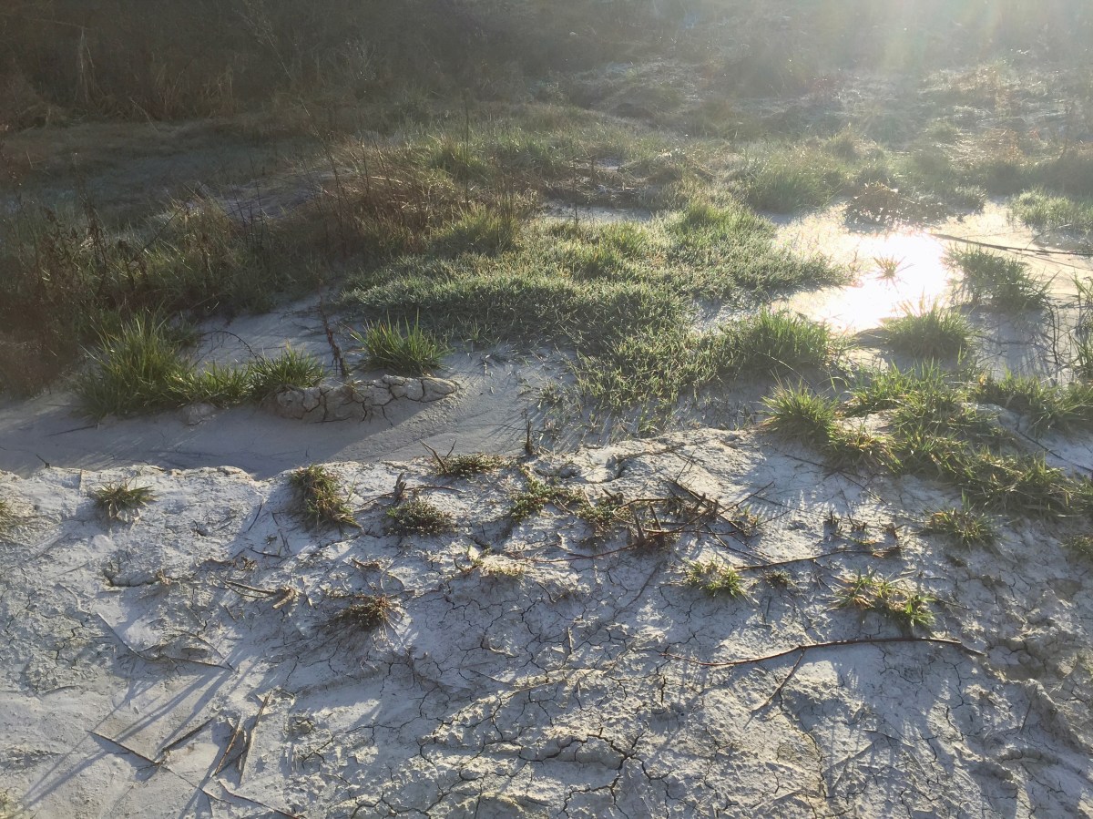 #Lemarchemagic #mediaevalvillages #landscapes #rolling hills #Monteleone #Belmonte #Santavicttoria #Montelparo #adventures #travel