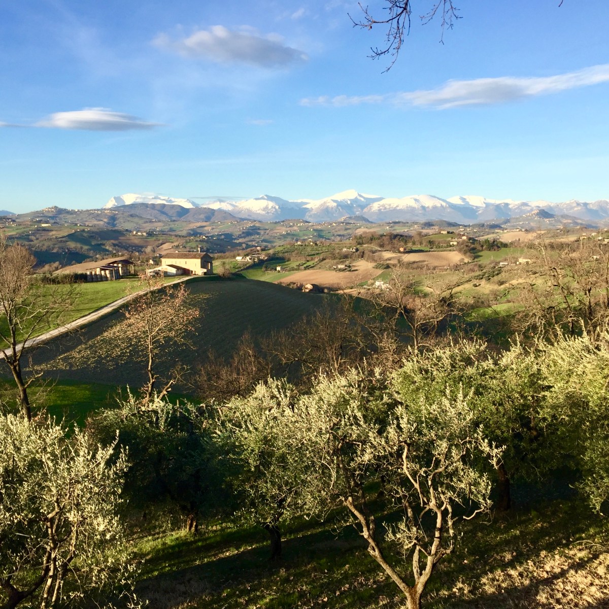 #Lemarchemagic #mediaevalvillages #landscapes #rolling hills #Monteleone #Belmonte #Santavicttoria #Montelparo #adventures #travel