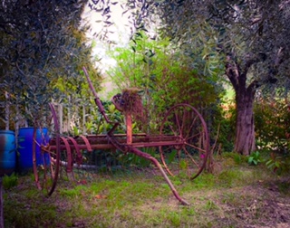 #lemarchemagic #lemarche #agriturismo #farmlife #bio #goodliving #Italianadventures #worldofbees #chickens #bnb #FonteCa