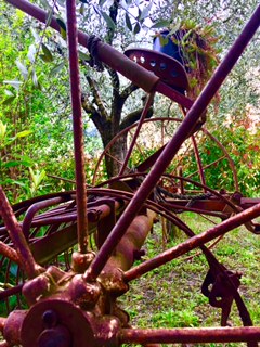 #lemarchemagic #lemarche #agriturismo #farmlife #bio #goodliving #Italianadventures #worldofbees #chickens #bnb #FonteCa