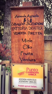 #lemarchemagic #lemarche #agriturismo #farmlife #bio #goodliving #Italianadventures #worldofbees #chickens #bnb