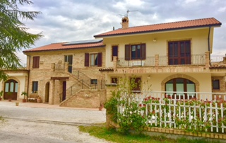 #lemarchemagic #lemarche #agriturismo #farmlife #bio #goodliving #Italianadventures #worldofbees #chickens #bnb