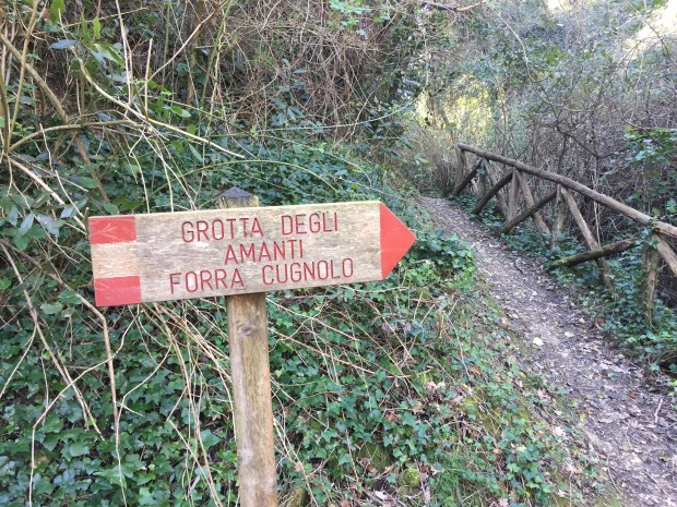 #lemarchemagic #lemarche #medievalvillages #torredipalme #landscape