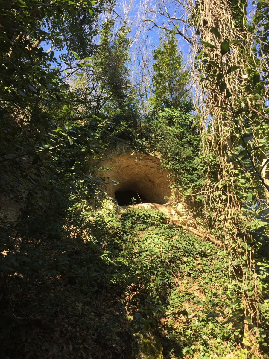 #lemarchemagic #lemarche #medievalvillages #torredipalme #landscape