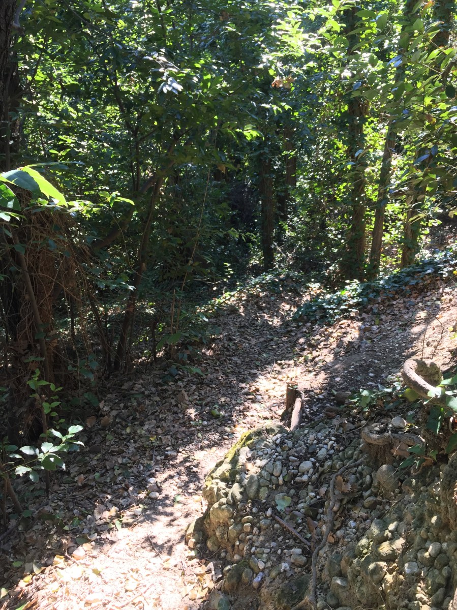 #lemarchemagic #lemarche #medievalvillages #torredipalme #landscape