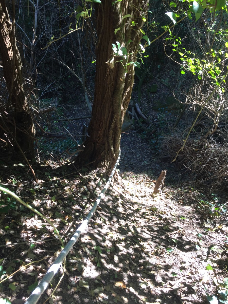 #lemarchemagic #lemarche #medievalvillages #torredipalme #landscape
