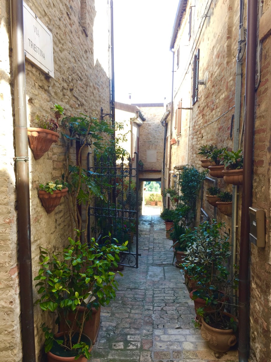 #lemarchemagic #lemarche #medievalvillages #torredipalme #landscape