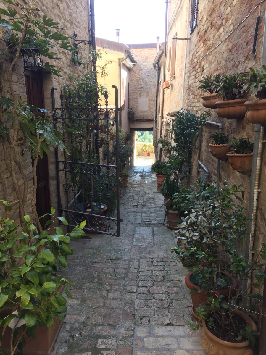 #lemarchemagic #lemarche #medievalvillages #torredipalme #landscape