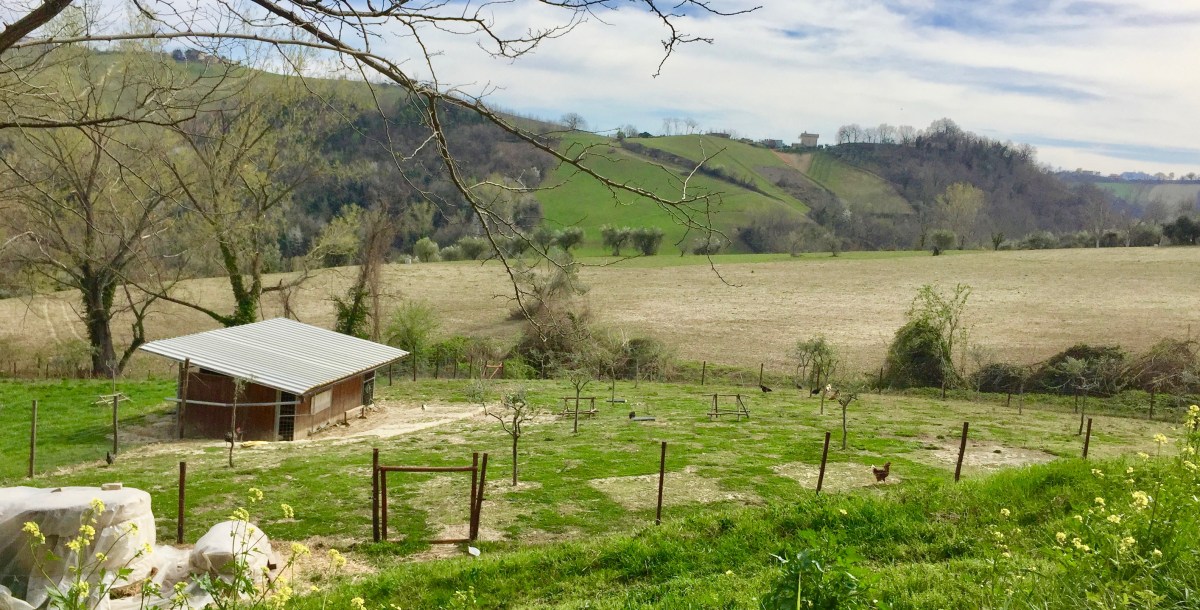 #labibioteca #lemarchemagic #farmtotablefood #bio #farmfood