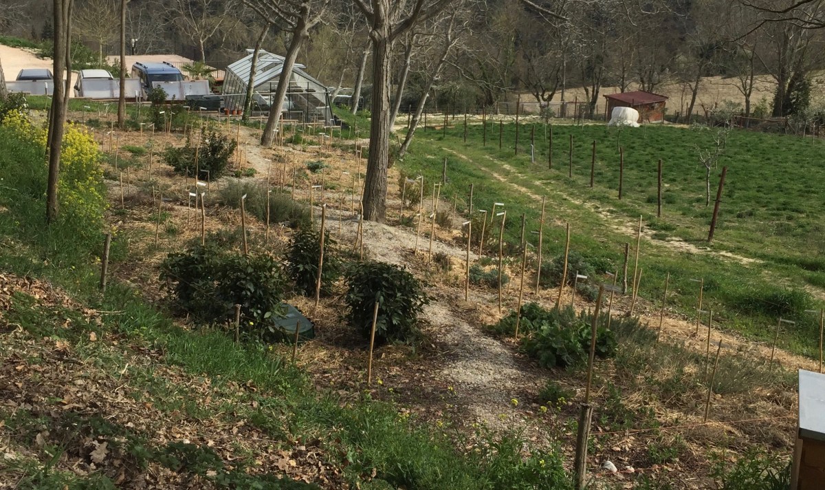 #labibioteca #lemarchemagic #farmtotablefood #bio #farmfood