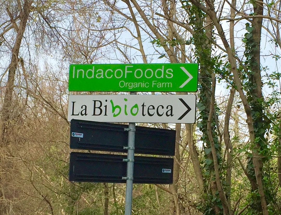 #labibioteca #lemarchemagic #farmtotablefood #bio #farmfood