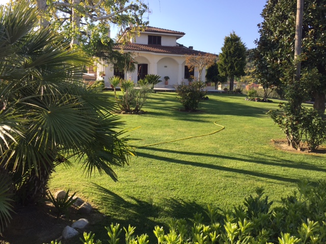 #LeMarcheMagic #LeMarche #Italy #Spring #VeggieGardens #MorningWalks