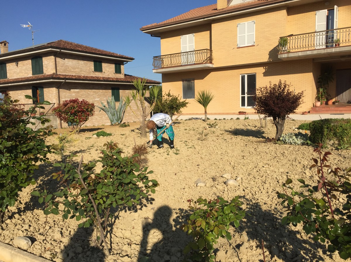 #LeMarcheMagic #LeMarche #Italy #Spring #VeggieGardens #MorningWalks