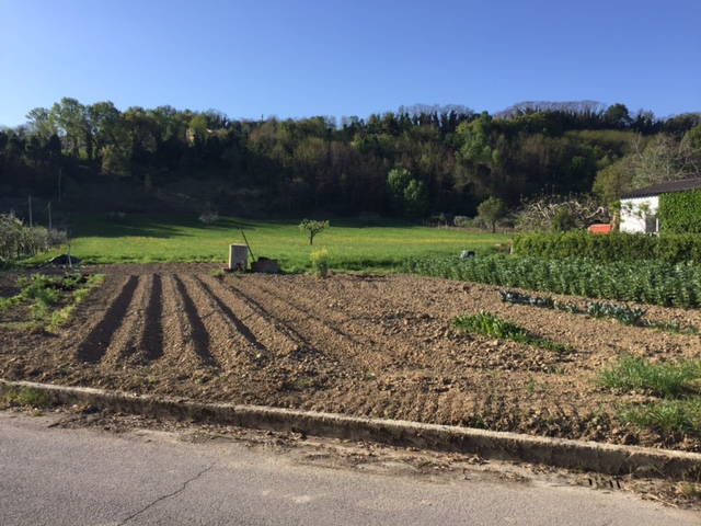 #LeMarcheMagic #LeMarche #Italy #Spring #VeggieGardens #MorningWalks