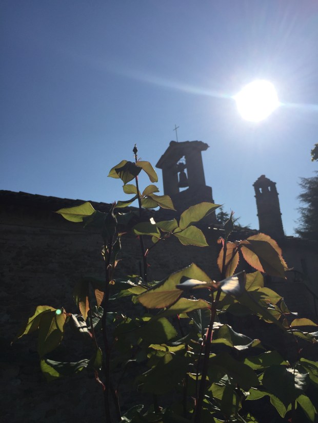 #LeMarcheMagic #LeMarche #Italy #Spring #VeggieGardens #MorningWalks