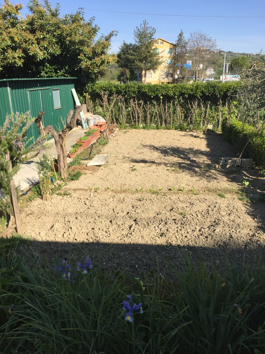 #LeMarcheMagic #LeMarche #Italy #Spring #VeggieGardens #MorningWalks