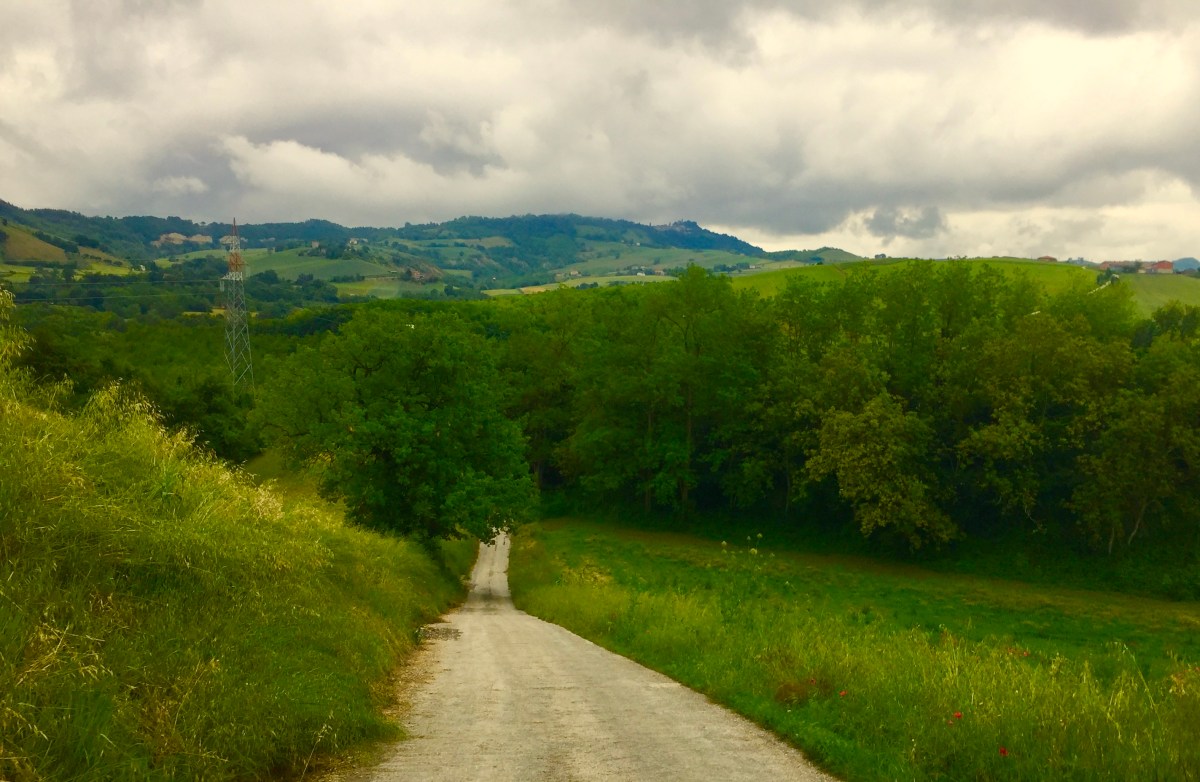 #LeMarcheMagic #MonteSanMartino #Madonnadell’Ambro #Smrillo #LavandaBlu #Petritoli #CarloCrivelli #VincenzoPagani #VittoreCrivelli #DrivingBackRoads #SacredChurch #AmazingArt