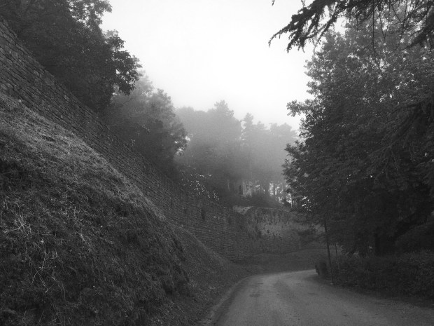 #LeMarcheMagic #MonteSanMartino #Madonnadell’Ambro #Smrillo #LavandaBlu #Petritoli #CarloCrivelli #VincenzoPagani #VittoreCrivelli #DrivingBackRoads #SacredChurch #AmazingArt