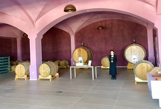 #LeMarcheMagic #Cantineaperte2017 #wine-tasting #OfficinaDelSole #Franco-Pecorino #Sensi-Passerina #VinoRossoFrutto #WineriesInLeMarche #WineLovers #RollingHills