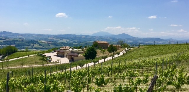 #LeMarcheMagic #Cantineaperte2017 #wine-tasting #OfficinaDelSole #Franco-Pecorino #Sensi-Passerina #VinoRossoFrutto #WineriesInLeMarche #WineLovers #RollingHills