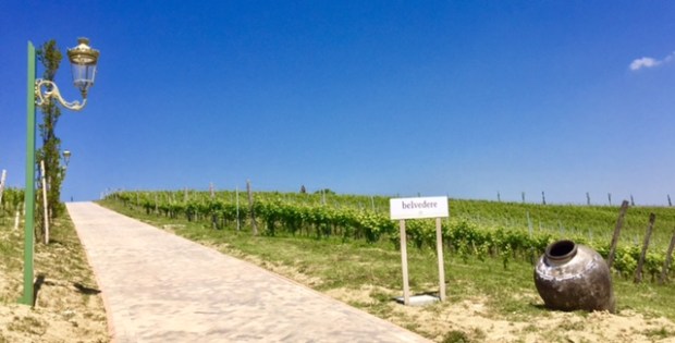 #LeMarcheMagic #Cantineaperte2017 #wine-tasting #OfficinaDelSole #Franco-Pecorino #Sensi-Passerina #VinoRossoFrutto #WineriesInLeMarche #WineLovers #RollingHills