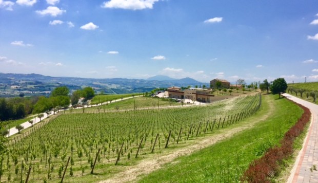 #LeMarcheMagic #Cantineaperte2017 #wine-tasting #OfficinaDelSole #Franco-Pecorino #Sensi-Passerina #VinoRossoFrutto #WineriesInLeMarche #WineLovers #RollingHills