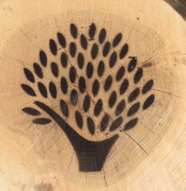 #LeMarcheMagic #Cantineaperte2017 #wine-tasting #OfficinaDelSole #Franco-Pecorino #Sensi-Passerina #VinoRossoFrutto #WineriesInLeMarche #WineLovers #RollingHills