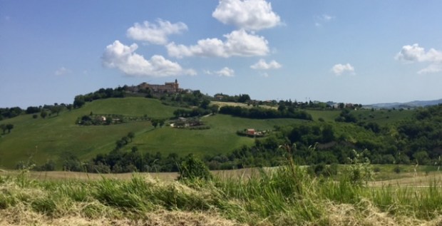 #photo #challenge #weekly photo challenge #photography #lemarchemagic #landscapes #poppies