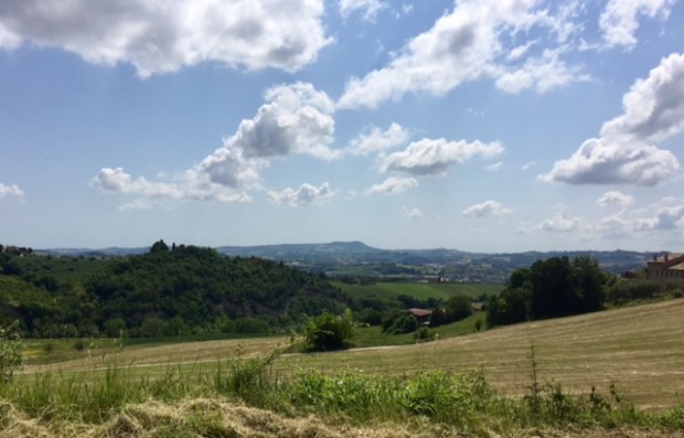 #photo #challenge #weekly photo challenge #photography #lemarchemagic #landscapes #poppies