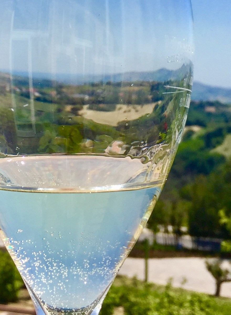 #LeMarcheMagic #Cantineaperte2017 #wine-tasting #OfficinaDelSole #Franco-Pecorino #Sensi-Passerina #VinoRossoFrutto #WineriesInLeMarche #WineLovers #RollingHills