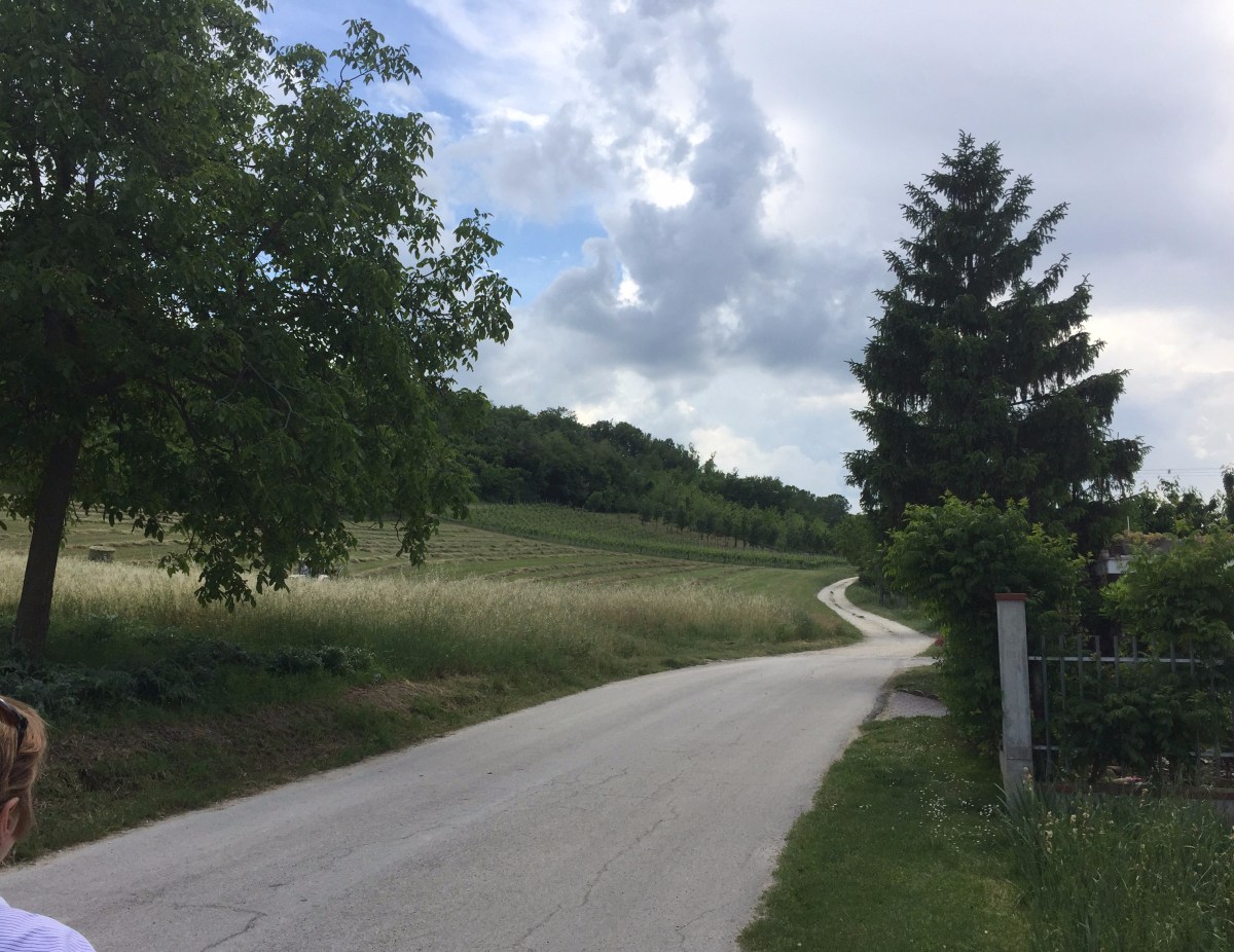 #photo #challenge #weekly photo challenge #photography #lemarchemagic #landscapes #poppies