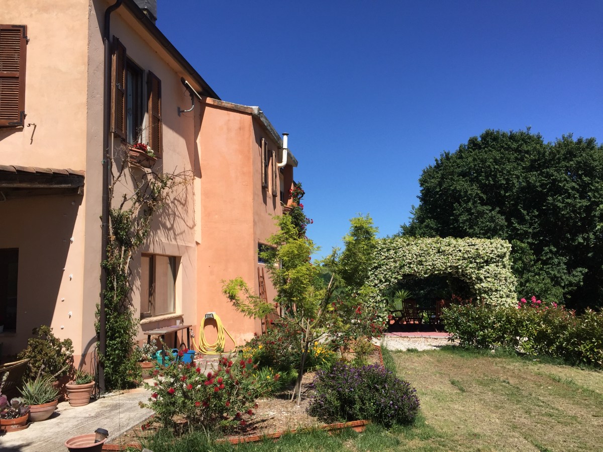 #LeMarcheMagic #MonteSanMartino #Madonnadell’Ambro #Smrillo #LavandaBlu #Petritoli #CarloCrivelli #VincenzoPagani #VittoreCrivelli #DrivingBackRoads #SacredChurch #AmazingArt #Lavandablu