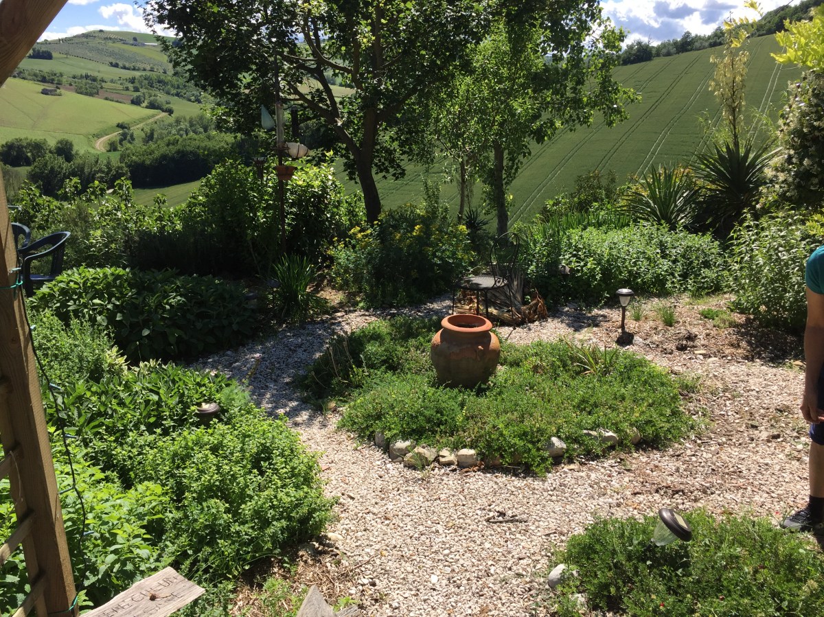 #LeMarcheMagic #MonteSanMartino #Madonnadell’Ambro #Smrillo #LavandaBlu #Petritoli #CarloCrivelli #VincenzoPagani #VittoreCrivelli #DrivingBackRoads #SacredChurch #AmazingArt #Lavandablu