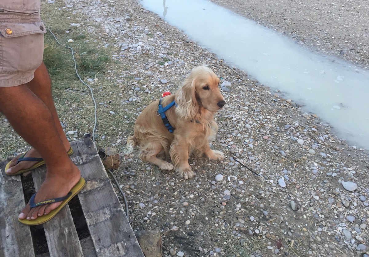 #lemarchemagic #Italian_vacations #kitsurfingItaly #marinapalmense #tribalkite