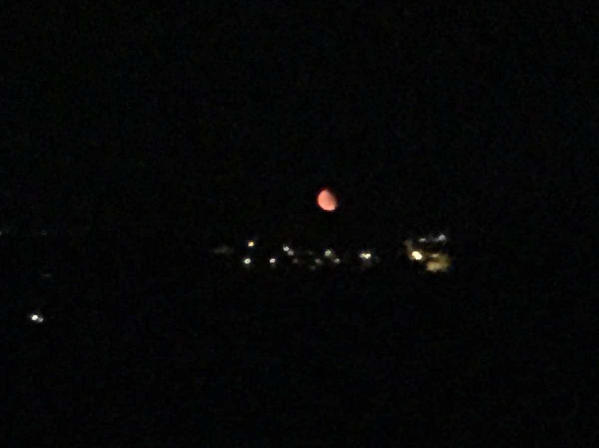 #lemarchemagic #lemarche #Monteleone #Salmonfestival #italianvacation #fffuméehomerestaurant #smokedsalmon