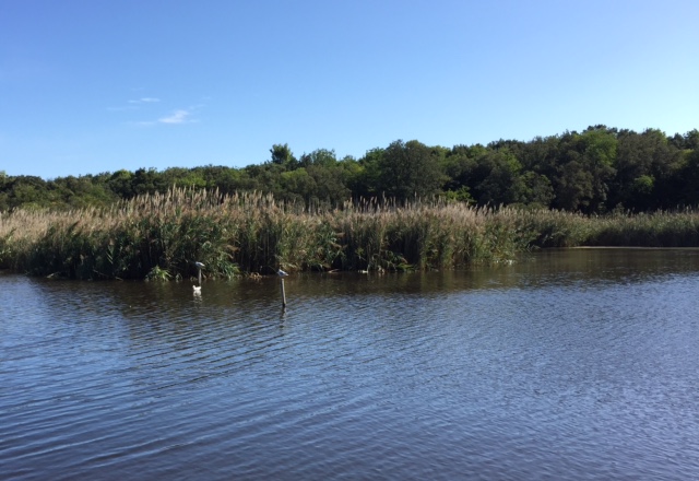 #lemarchemagic #Ancona #Portonovo #monteconero #rivieradellconero #whitebeaches #lemarche #Italy