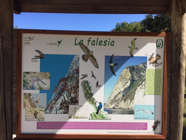 #lemarchemagic #Ancona #Portonovo #monteconero #rivieradellconero #whitebeaches #lemarche #Italy