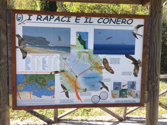 #lemarchemagic #Ancona #Portonovo #monteconero #rivieradellconero #whitebeaches #lemarche #Italy