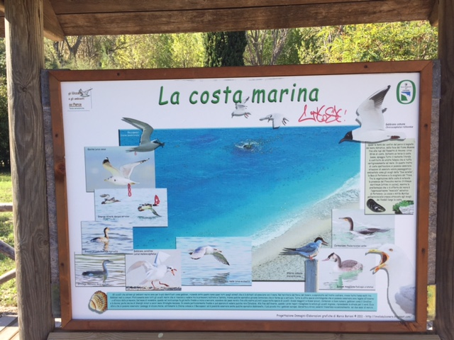 #lemarchemagic #Ancona #Portonovo #monteconero #rivieradellconero #whitebeaches #lemarche #Italy