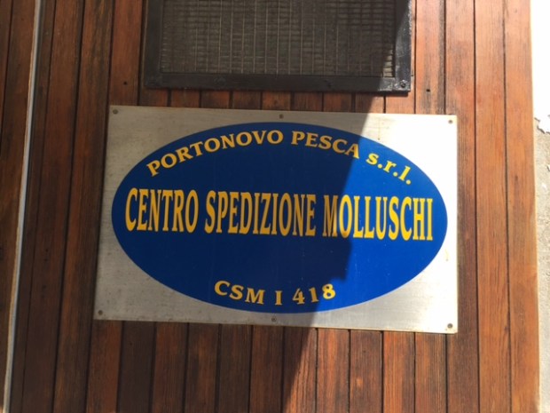 #lemarchemagic #Ancona #Portonovo #monteconero #rivieradellconero #whitebeaches #lemarche #Italy