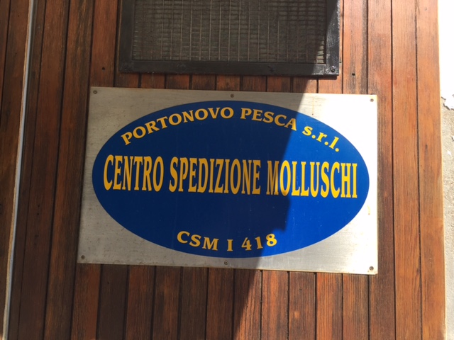 #lemarchemagic #Ancona #Portonovo #monteconero #rivieradellconero #whitebeaches #lemarche #Italy