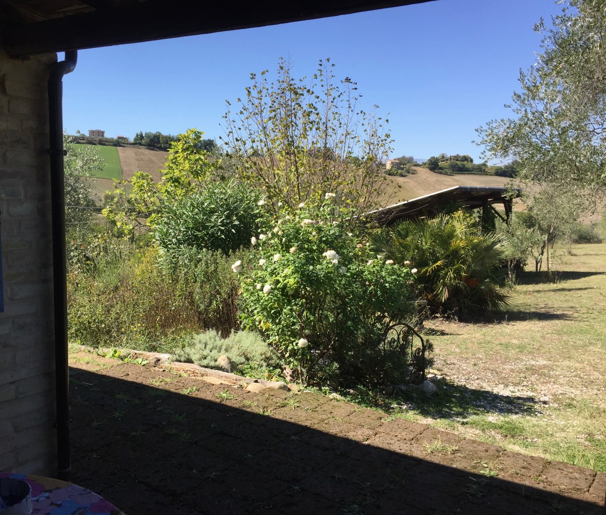 #lemarchemagic #lemarche #vacationhomes #wheretolaymyhead #medievalvillages #countrysideliving #countrycharm #italianrentals