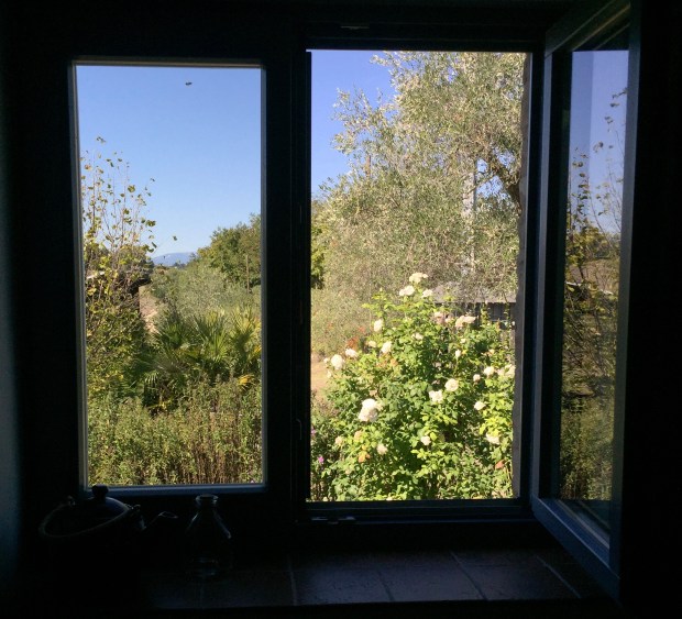 #lemarchemagic #lemarche #vacationhomes #wheretolaymyhead #medievalvillages #countrysideliving #countrycharm #italianrentals