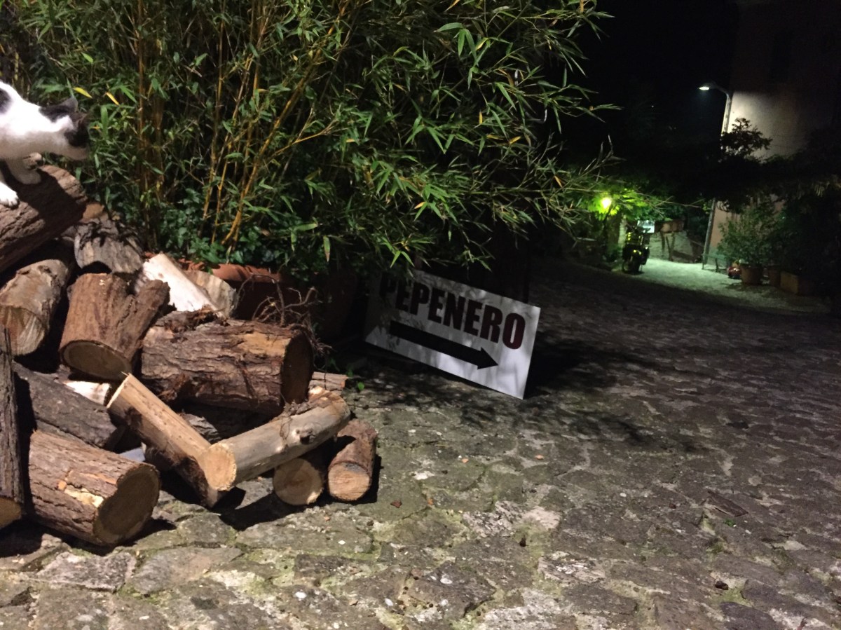 #lemarchemagic #AscoliPiceno #pepenero #cupramarittima #dinnersout #Italiantravel