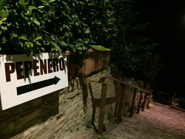 #lemarchemagic #AscoliPiceno #pepenero #cupramarittima #dinnersout #Italiantravel #Osteriapepenero