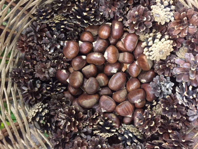 #montemonaco #sibillininationalpark #ascolipiceno #lemarchemagic #chestnuts #sagras #italianvacations #offthebeatenpath #lemarche #adventures