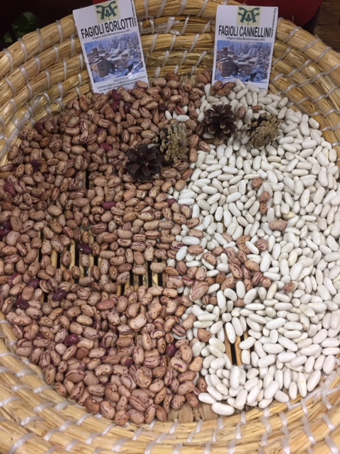 #montemonaco #sibillininationalpark #ascolipiceno #lemarchemagic #chestnuts #sagras #italianvacations #offthebeatenpath #lemarche #adventures